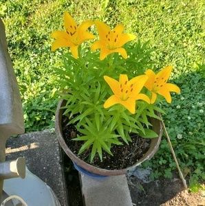 Meet your Posher, Michelle